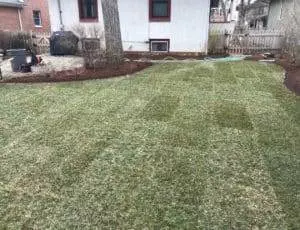 sod installation service