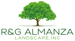 R & G Almanza Landscape Inc