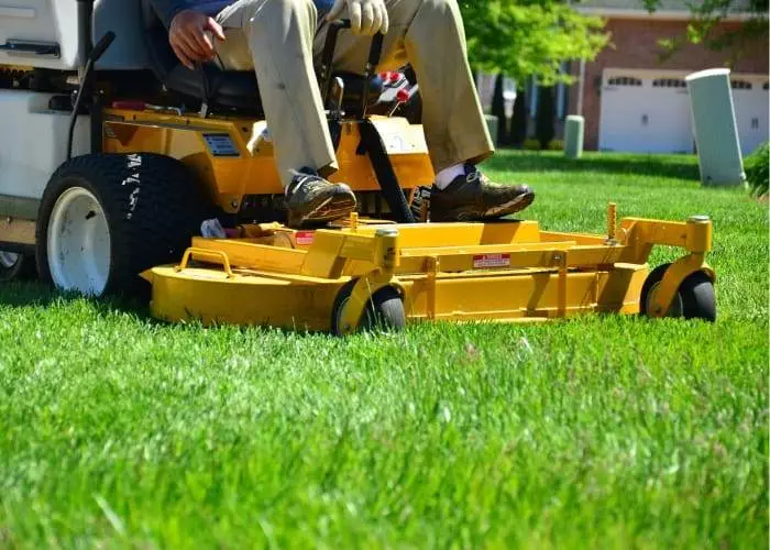 Lawn Care Tips